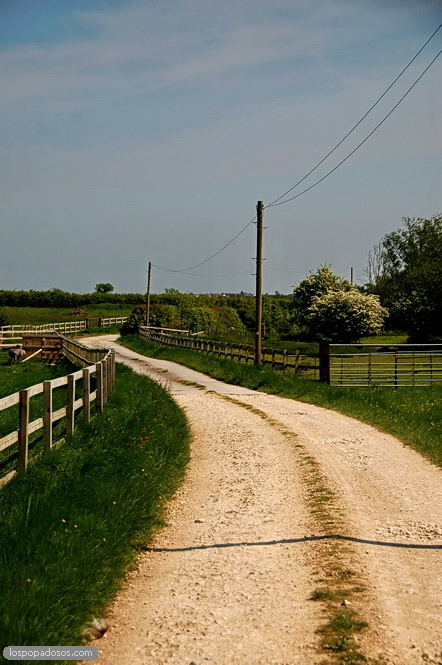 Devon farm