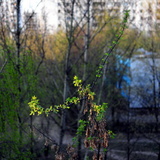 Весна в Якушкино