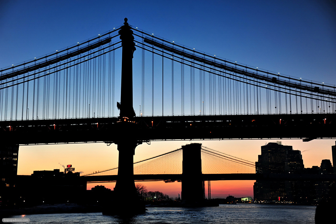 Manhattan & Brooklyn bridges